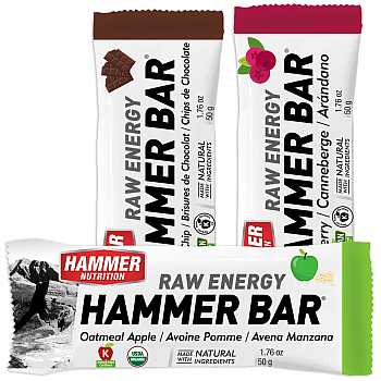 HAMMER NUTRITION Raw Energy Bar Testpaket *BIO DE-KO-006*