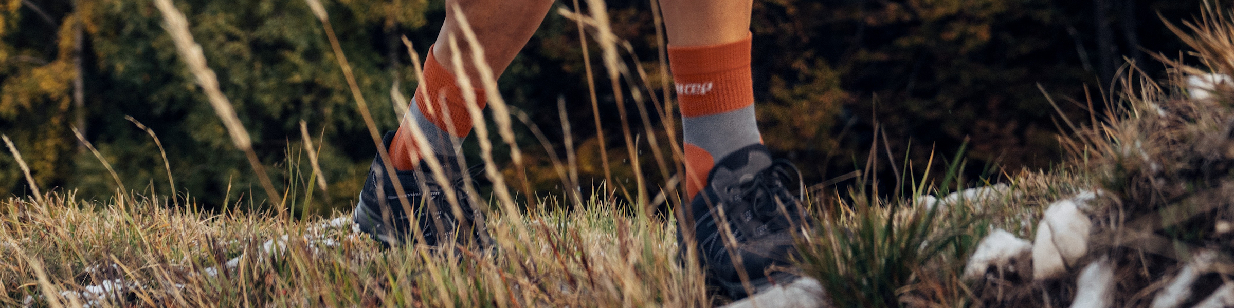 CEP Wandersocken Online Shop