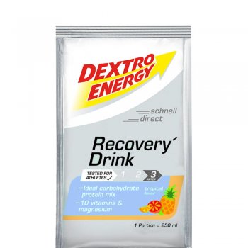 DEXTRO ENERGY Recovery Drink *Portionsbeutel*