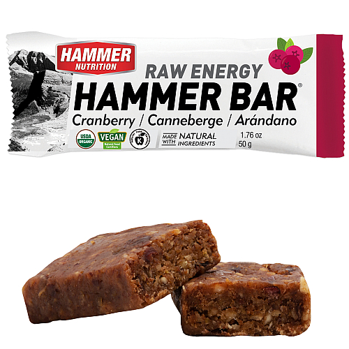 Hammer Nutrition Raw Energy Bar Cranberry
