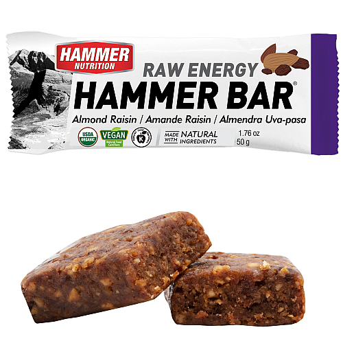 Hammer Nutrition Raw Energy Bar Mandel-Rosine