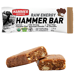 HAMMER NUTRITION Raw Energy Bar *BIO DE-KO-006*