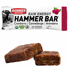 HAMMER NUTRITION Raw Energy Bar *BIO DE-ÖKO-006*
