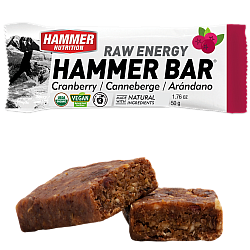 HAMMER NUTRITION Raw Energy Bar *BIO DE-�KO-006*