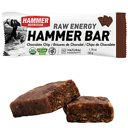 HAMMER NUTRITION Raw Energy Bar *BIO DE-KO-006*