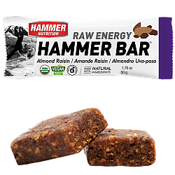 HAMMER NUTRITION Raw Energy Bar *BIO DE-�KO-006*