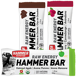 HAMMER NUTRITION Raw Energy Bar Testpaket *BIO DE-KO-006*